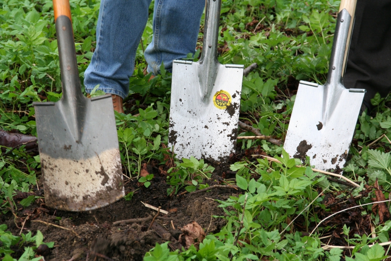 pepiniere-ST CEZAIRE SUR SIAGNE-min_work-lawn-flower-tool-green-backyard-1103633-pxhere.com